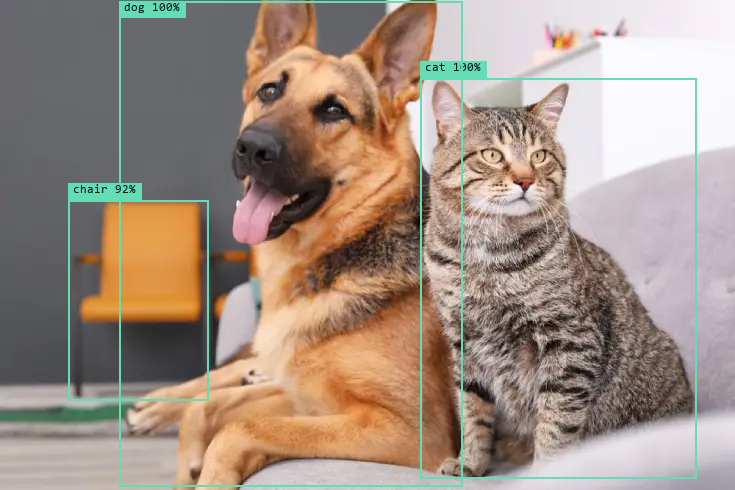 Detection output with bounding boxes