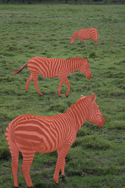 Segmentation masks output